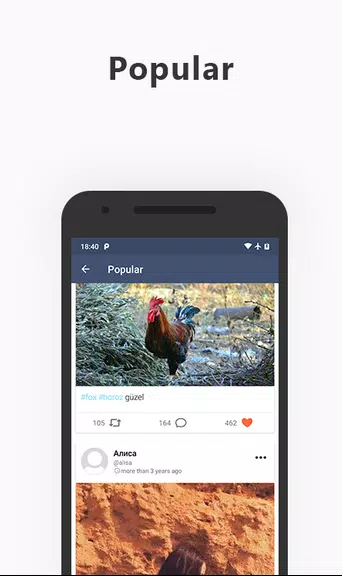 My Social Network 스크린샷 1