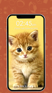 Kitty Cat Pin Lock Screen Zrzut ekranu 0