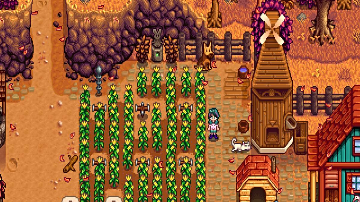 Stardew Valley: การเป็นเจ้าของหลายแพ็ต