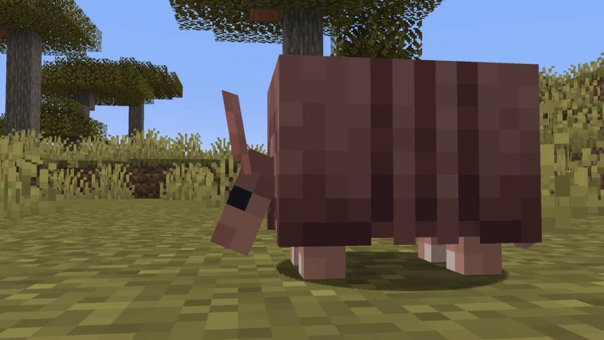 Minecraft：Ace Armadillo的藝術