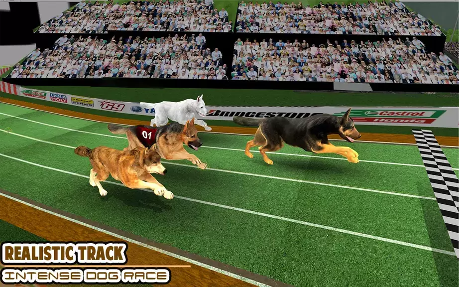 Dog racing games - dog game 3d ဖန်သားပြင်ဓာတ်ပုံ 0