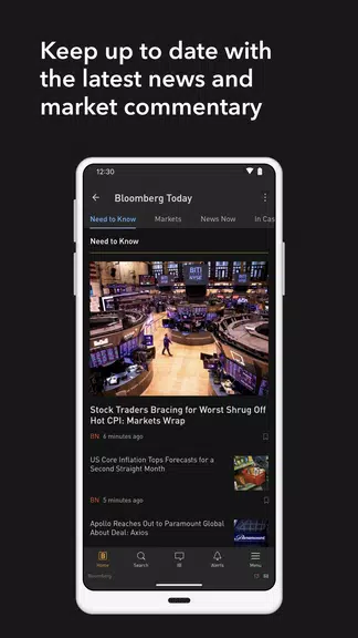 Bloomberg Professional應用截圖第2張