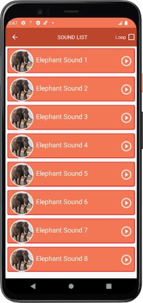 Elephant Sounds Ekran Görüntüsü 0