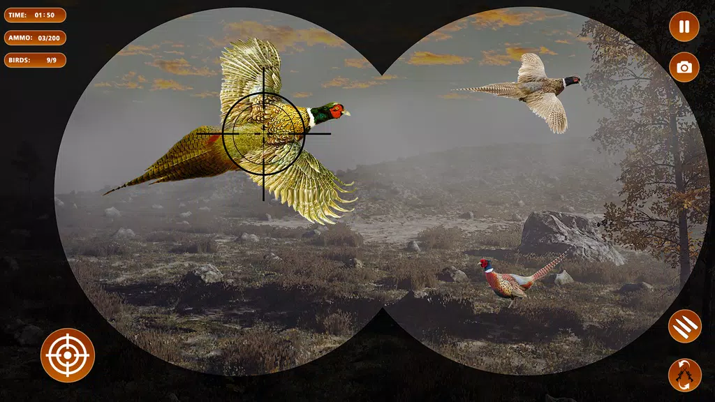 Pheasant Shooter Birds Hunting Ảnh chụp màn hình 0