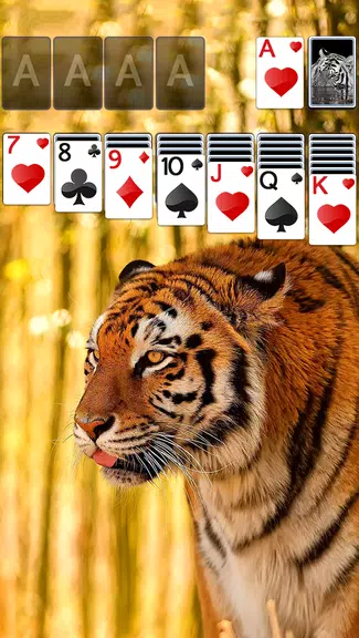 Solitaire Tiger Theme スクリーンショット 0