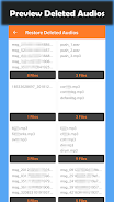 Deleted Audio Recovery Ảnh chụp màn hình 2
