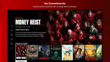 Netflix, Inc. Schermafbeelding 2