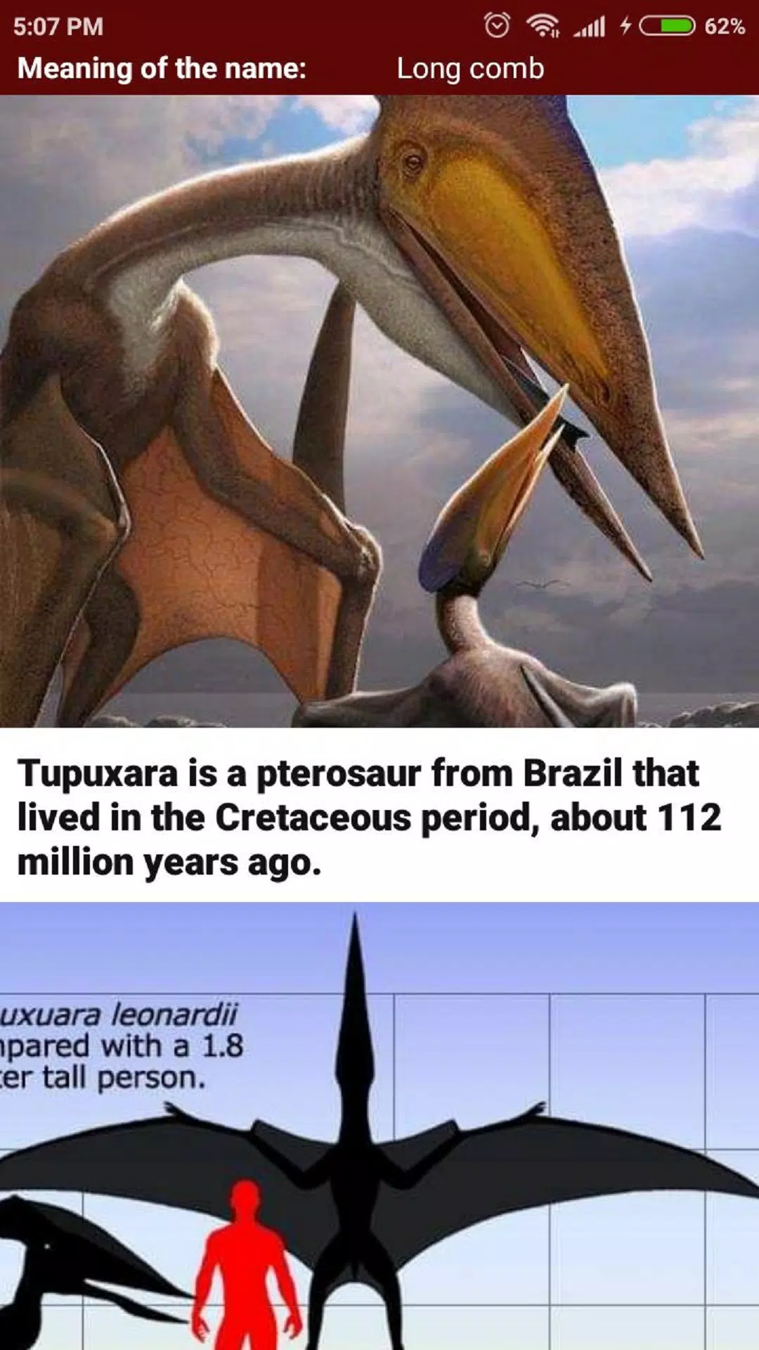 Schermata Encyclopedia of Dinosaurs 2