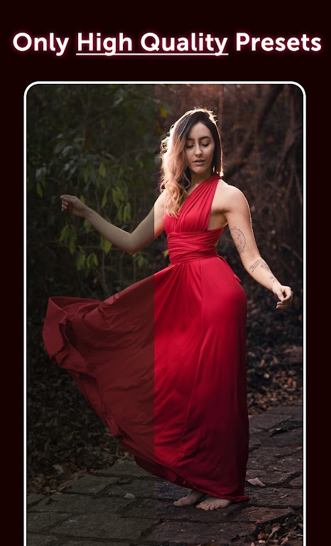 Schermata Preset: Lightroom Presets Mod 2