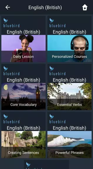 Learn British English. Speak B Ekran Görüntüsü 0