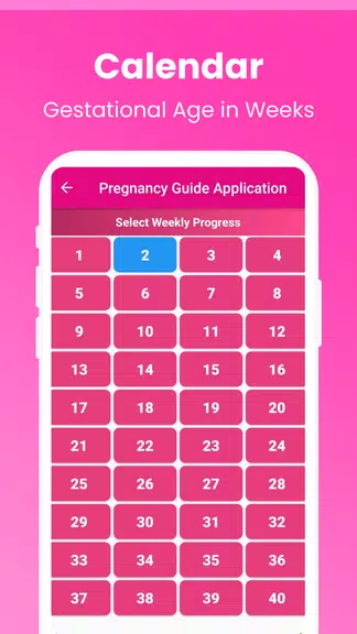 Pregnancy Guide - A Mom Screenshot 3