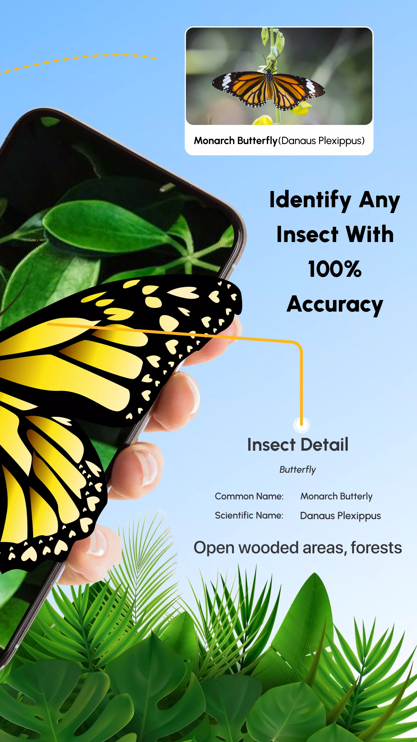 Insect Identifier Bug Identify স্ক্রিনশট 1