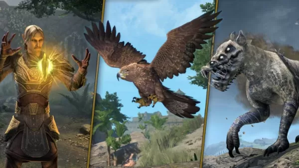 Elder Scrolls Podklasy online po 11 długich latach fanów proszących o to