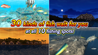 Excite BigFishing Ⅲ Ảnh chụp màn hình 3