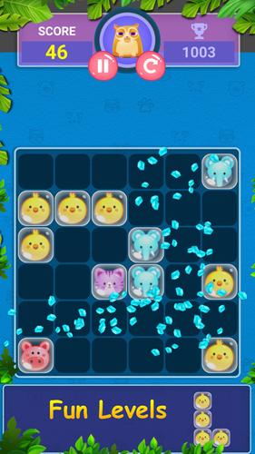 Block Game Puzzle of Pet World Tangkapan skrin 1