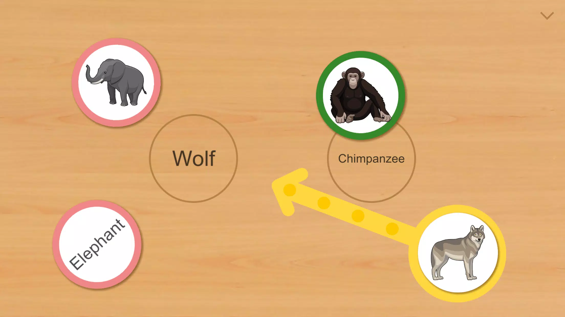 Animal Card Matching Screenshot 1