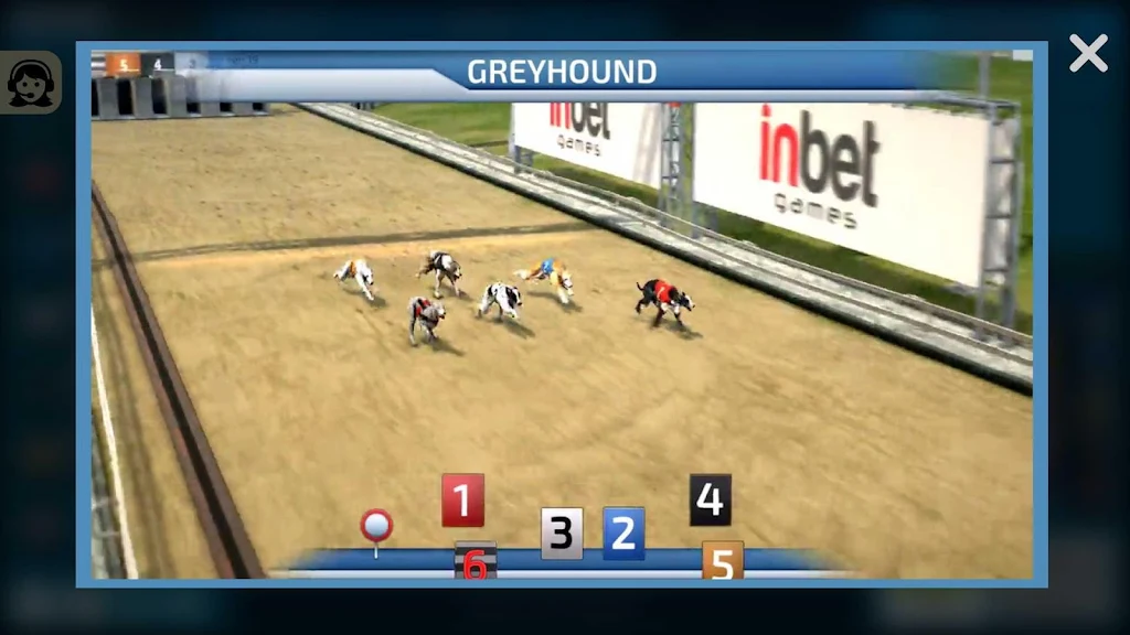 Dogs3D Races Betting应用截图第2张