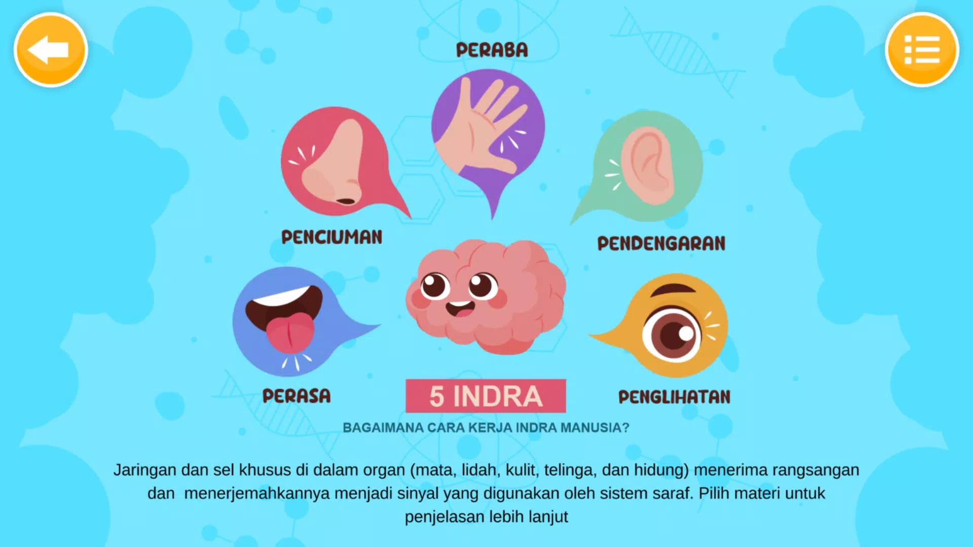 Sistem Indra Manusia Ảnh chụp màn hình 1