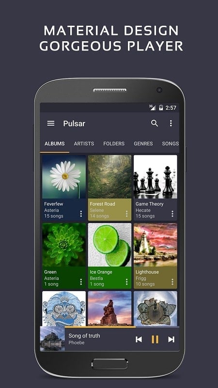 Pulsar Music Player Pro Zrzut ekranu 0