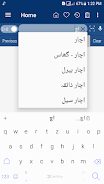 English Urdu Dictionary ภาพหน้าจอ 3