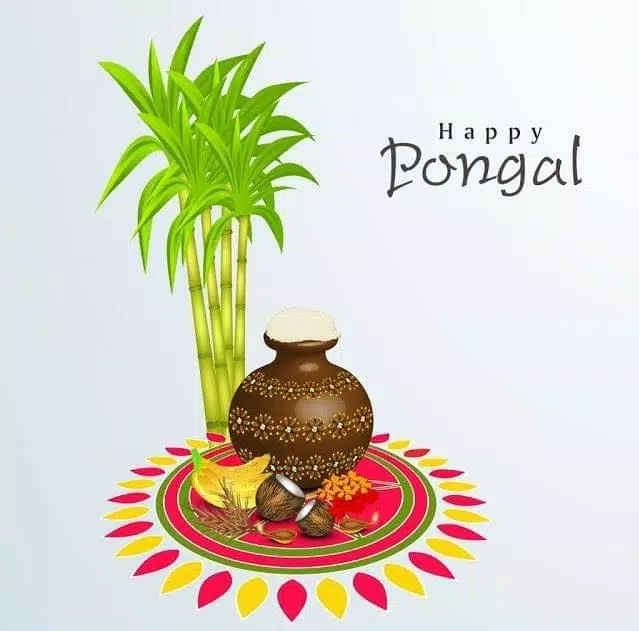 Happy Pongal Wishes Zrzut ekranu 1