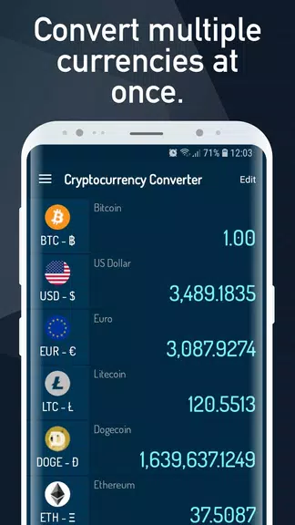 Cryptocurrency Rate Converter Schermafbeelding 2