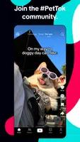 TikTok: Videos, Lives & Musik Screenshot 3