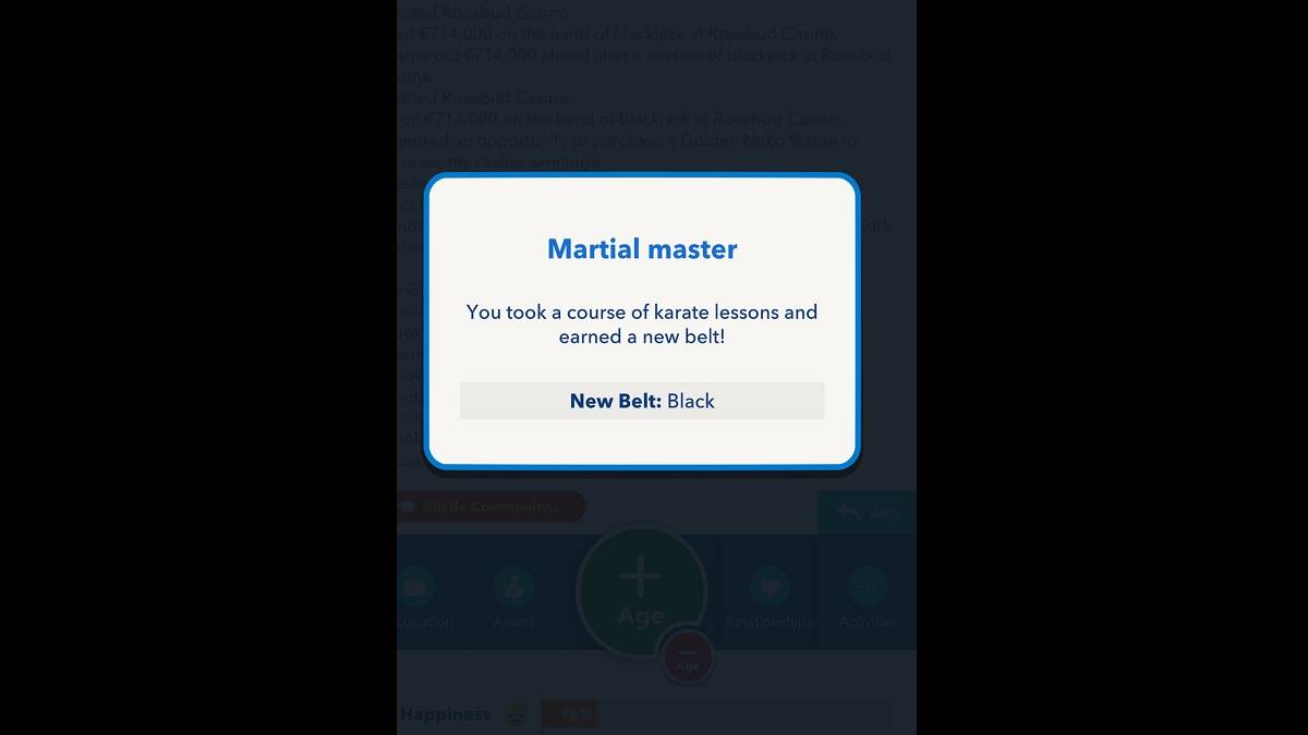 BITLIFE Black Belt ganhou