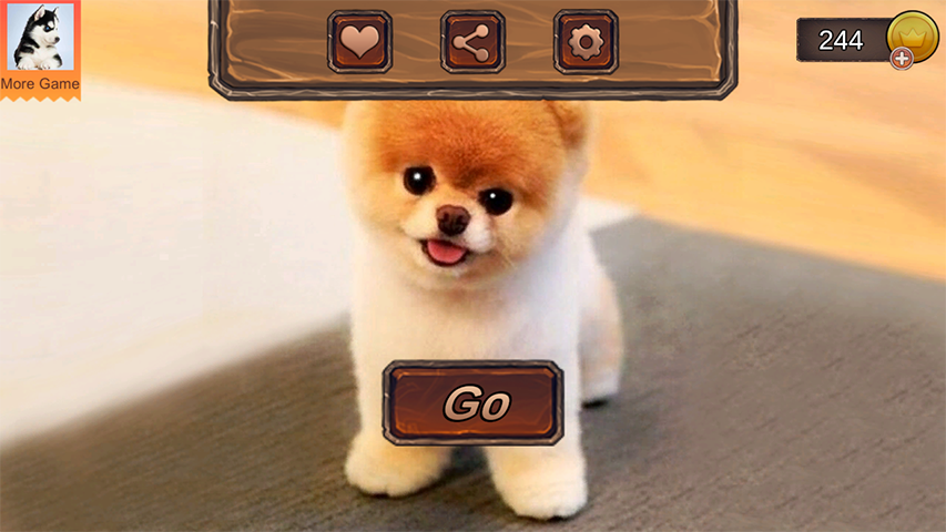 Pomeranian Dog Simulator Ảnh chụp màn hình 0