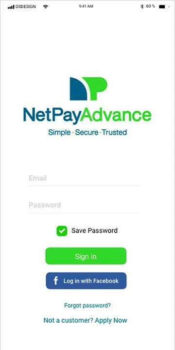 Net Pay Advance Captura de tela 0