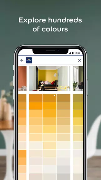 Dulux Visualizer PK Ekran Görüntüsü 1