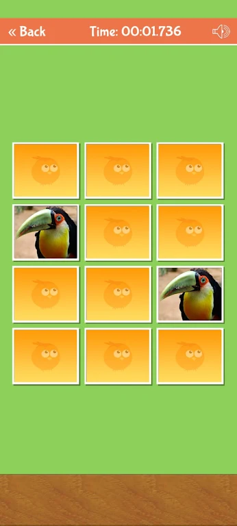 Birds Memory Match Game Captura de pantalla 0