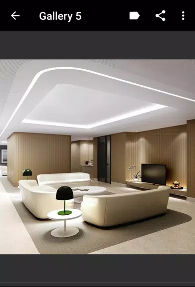 Ceiling Design 스크린샷 2