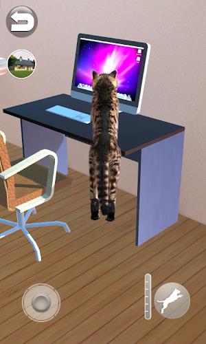 Talking Reality Cat Captura de pantalla 3