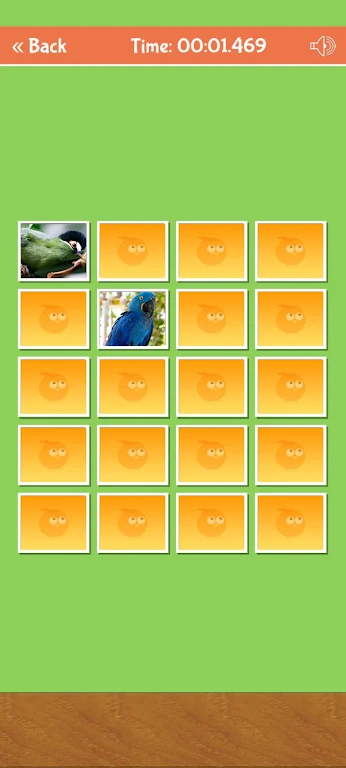 Birds Memory Match Game Captura de pantalla 2