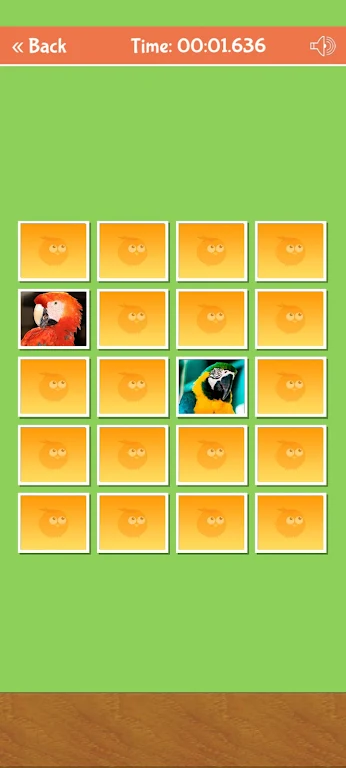 Schermata Birds Memory Match Game 3