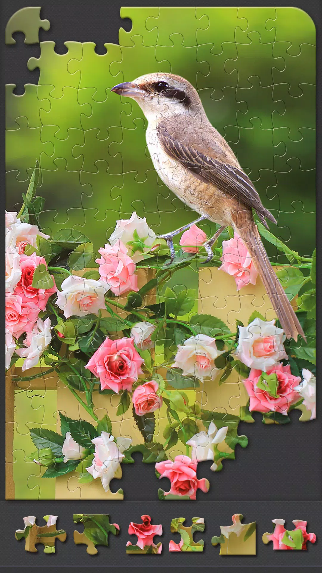 Jigsaw Puzzles for Adults Captura de tela 2