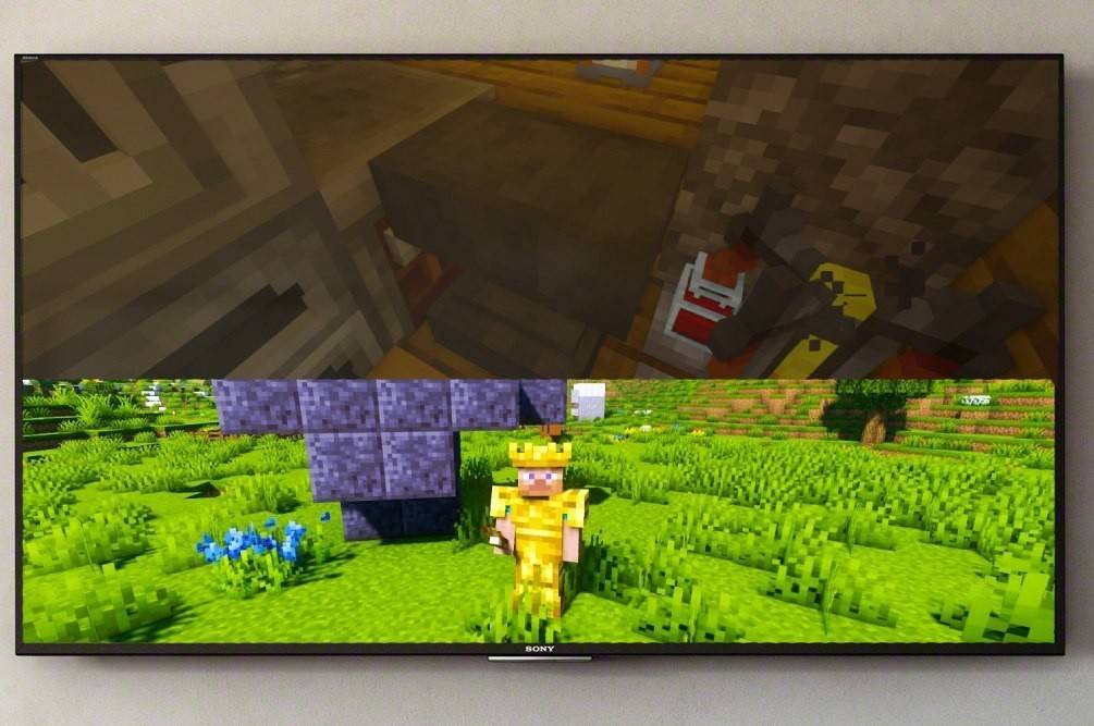 Splitscreen Minecraft