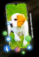 Puppies Wallpapers in 4K স্ক্রিনশট 2