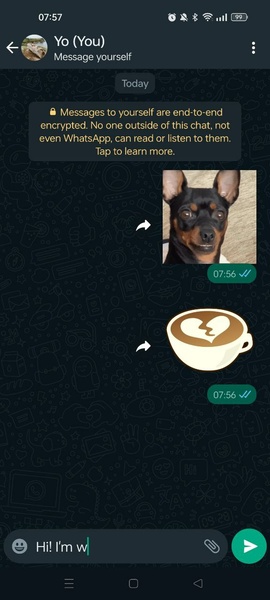 WhatsApp Messenger Screenshot 0