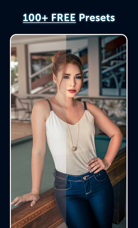 Schermata Preset: Lightroom Presets Mod 1
