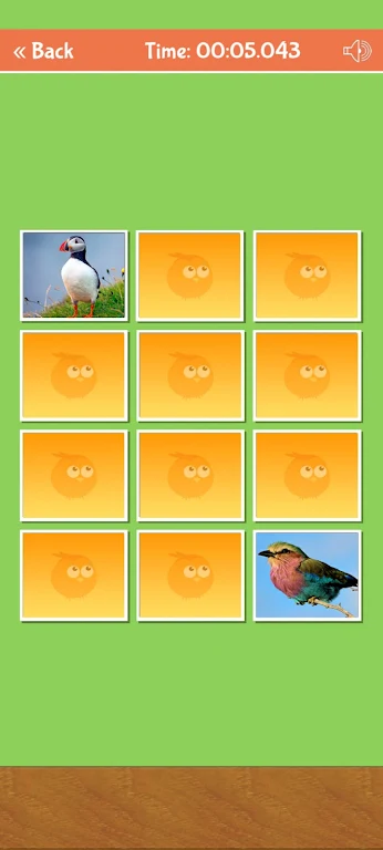 Birds Memory Match Game स्क्रीनशॉट 1