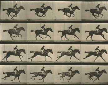 Schermata Run Muybridge, run! 0