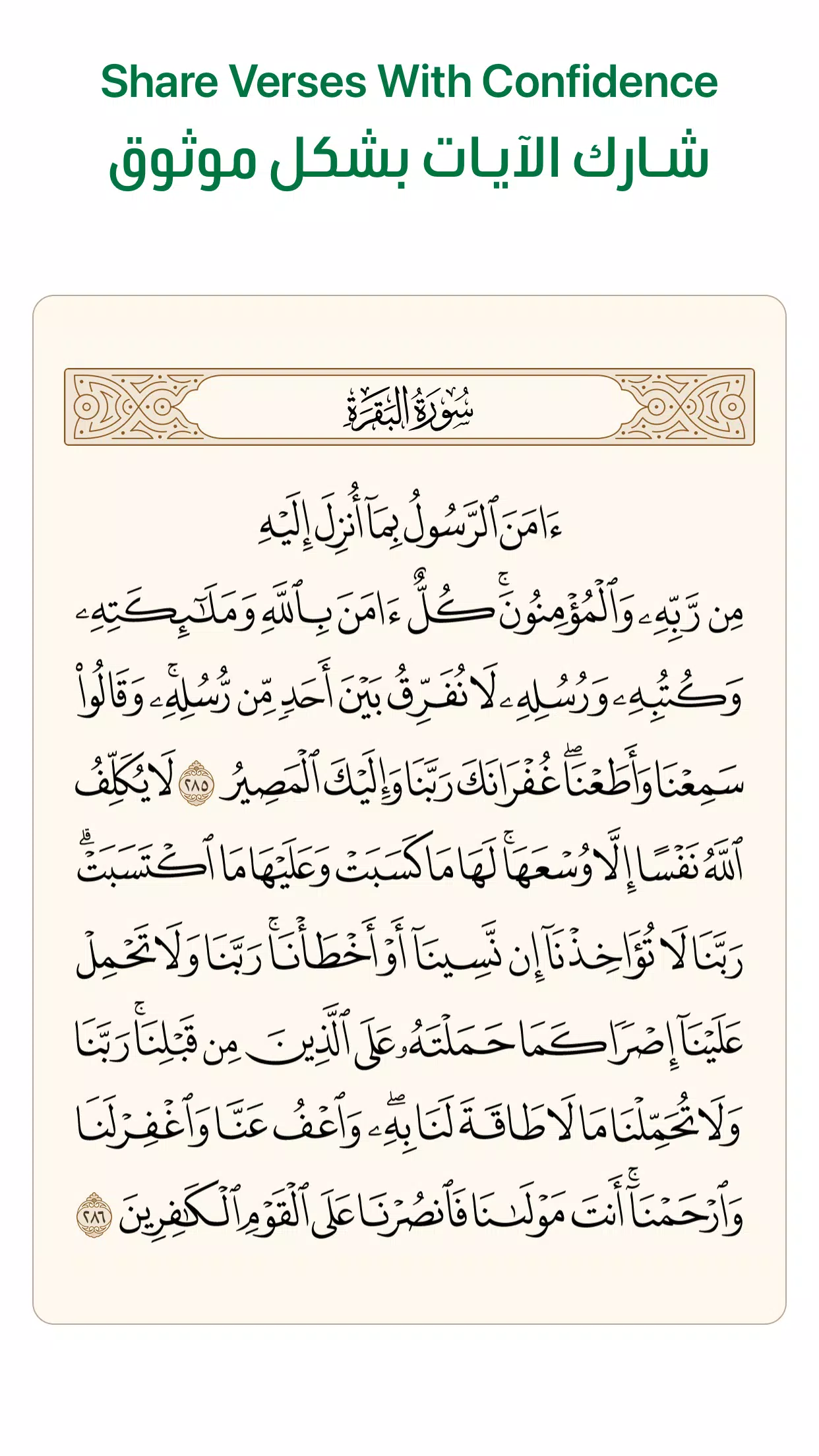 Ayah: Quran App Screenshot 3