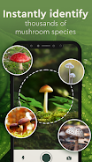 Nature Detect - Plant Identify Captura de pantalla 2