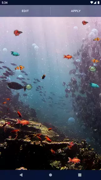 Ocean Fish Live Wallpaper 4K Screenshot 3