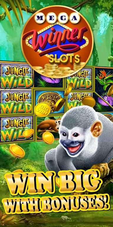 Mega Winner Slots Zrzut ekranu 1