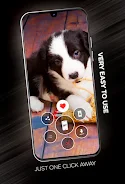 Puppies Wallpapers in 4K Zrzut ekranu 1