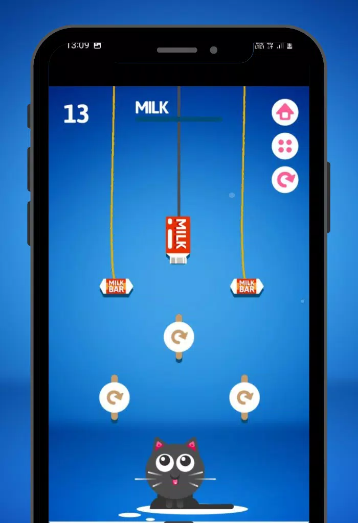 Feed the Kitty Cat Game ภาพหน้าจอ 2