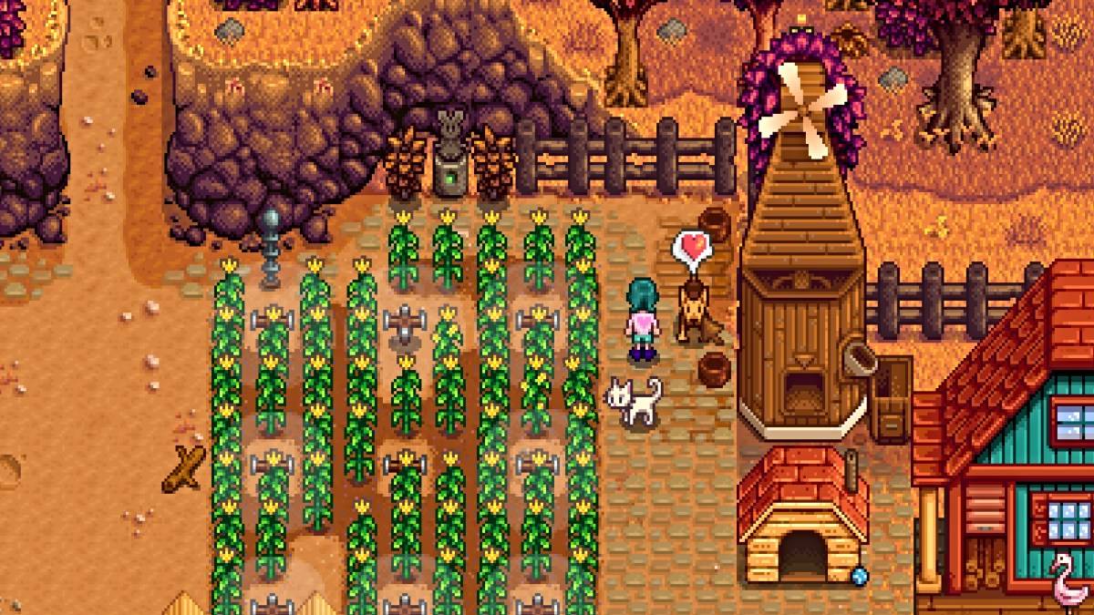 Increasing friendship with pet in Stardew Valley